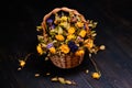 Basket with yellow and violet dry roses. Bouquet of wilted flowers on a black wooden background. Dried yellow and blue roses in Royalty Free Stock Photo