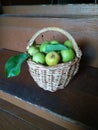 Basket with young green pears on wooden surface