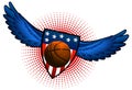 Basketball american wings