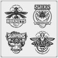 Basketball badges, labels and design elements. Sport club emblems with scorpion, wasp, hornet and spider.