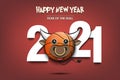 2021 and Basketball ball made in the form of bull