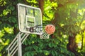 Basketball basket with all going through net Royalty Free Stock Photo