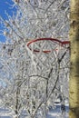 Basketball basket covered with snow Royalty Free Stock Photo