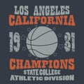 Basketball Champions t-shirt