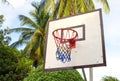 Basketball equipment on tropical island. Empty basket. Outdoor sport game.