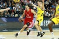 Basketball Euroleague Championship Alba Berlino vs Bayern MÃÂ¼nchen