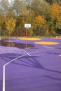 basketball field, orange-purple coating, synthetic surface arkings o field, markings, background, sports,