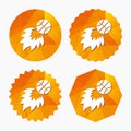 Basketball fireball sign icon. Sport symbol.