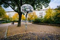 Basketball hoop and autumn color at Helmholtzplatz, in Prenzlauer Berg, Berlin, Germany.