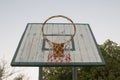 Basketball hoop Royalty Free Stock Photo
