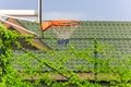 Basketball Hoop in the Park on a green garden background