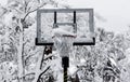 Basketball hoop with snow in it after a storm