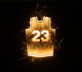 Basketball jersey 23 in sparks Royalty Free Stock Photo