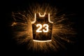 Basketball jersey 23 in sparks Royalty Free Stock Photo