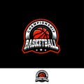 Basketball logo team Royalty Free Stock Photo