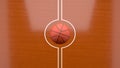 Basketball match throw in. Ball. Illustration suitable for betting promotion. 3d render. Royalty Free Stock Photo