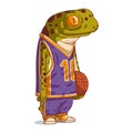 A basketball player, isolated vector illustration. Calm anthropomorphic frog, wearing a basketball uniform and holding a ball