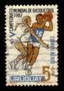 Basketball players in action