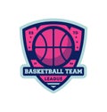 Basketball professional team vintage label Royalty Free Stock Photo