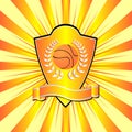 Basketball shield