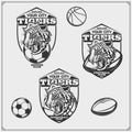 Basketball, soccer and football logos and labels. Sport club emblems with tiger. Print design for t-shirt. Royalty Free Stock Photo