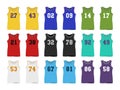Basketball sport Jerseys
