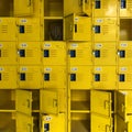 A basketball in yellow locker.Yellow locker design.