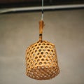 Basketry that is used to make decorative lamps