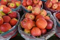 Baskets of Apples Royalty Free Stock Photo