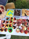 Baskets with berries , raspberries , black currants , shakalade and cookies.