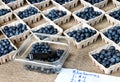 Baskets of blueberries for sale at a Farmer's Market Royalty Free Stock Photo