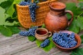 Baskets and bowl with grapes beside Jar and cup with wine stand on on rustic wood