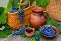 Baskets and bowl with grapes. Jar and cup with wine stand on on rustic wood