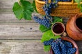 Baskets and bowl with grapes beside Jar and cup with wine stand on on rustic wood. Wine making background.