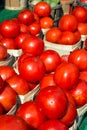 Baskets of Bright Red Tomatoes in Sunlight are Sprinkled with Raindrops Royalty Free Stock Photo