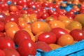 Baskets of cherry tomatoes