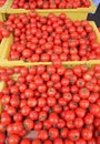 Baskets of cherry tomatoes