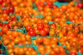 Baskets of cherry tomatoes.