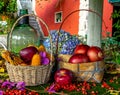 baskets with corn cobs and onions between dried leaves