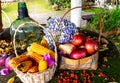 baskets with corn cobs and onions between dried leaves