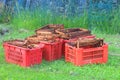 Baskets with frames for bees Royalty Free Stock Photo