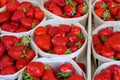 Baskets with french red ripe sweet strawberries Fraises de Plougastel, harvested in France