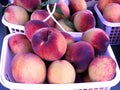 Baskets of Fresh Picked Peaches Royalty Free Stock Photo