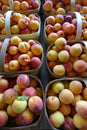 Baskets of Fresh Picked Peaches Royalty Free Stock Photo