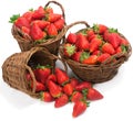 Baskets with fresh strawberries Royalty Free Stock Photo