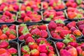 Baskets Of Fresh Strawberries In A Street Market Royalty Free Stock Photo