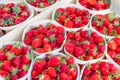 Strawberries boxes baskets texture in outdoor market Royalty Free Stock Photo