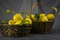 Baskets with freshly cut ripe lemons