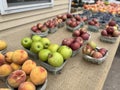 Baskets of Freshly Picked Peaches and Apples