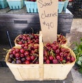 Baskets of Freshly Picked Sweet Cherries